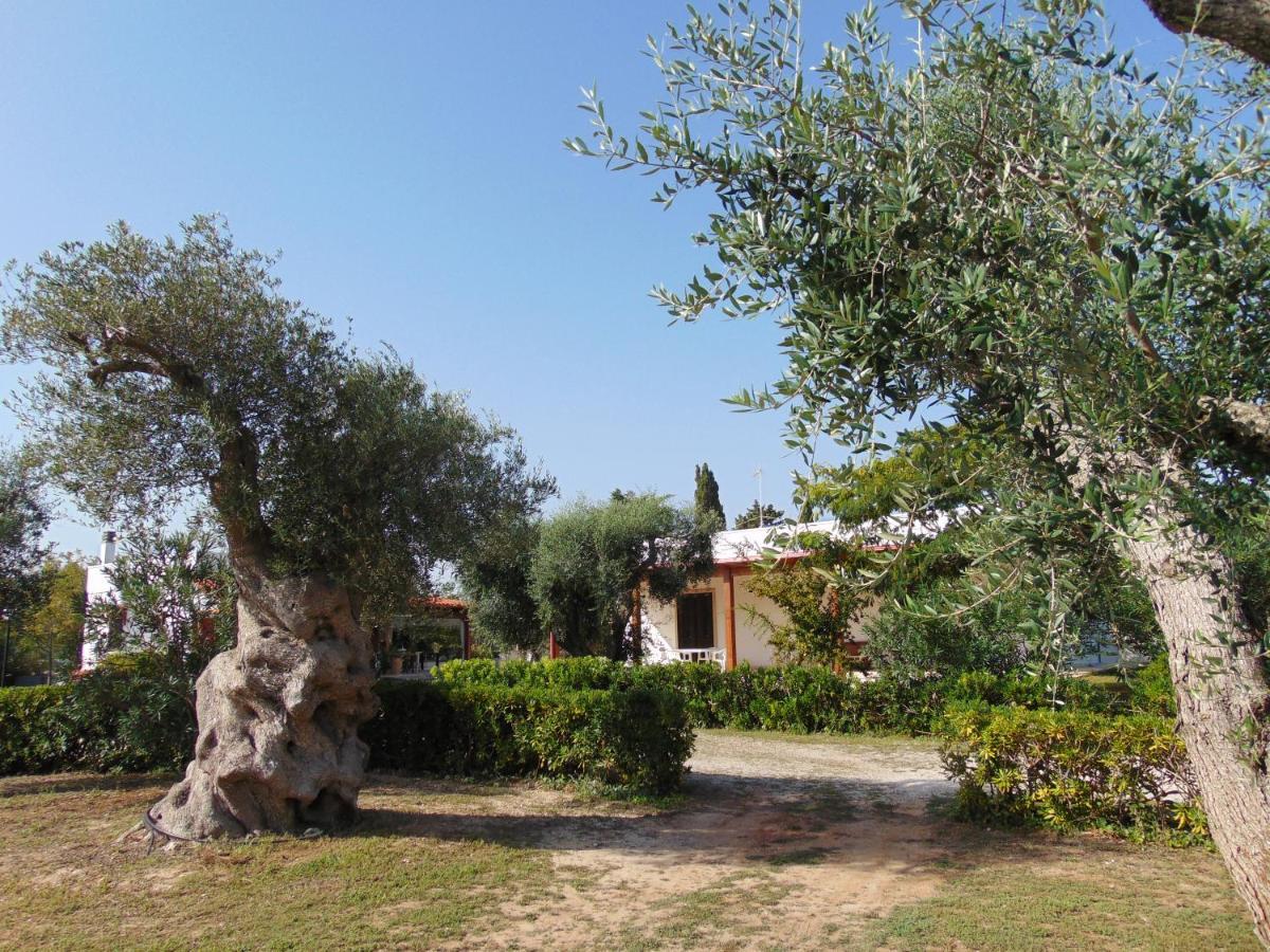 Agriturismo Villa Tommaso Торре дель'Орсо Экстерьер фото